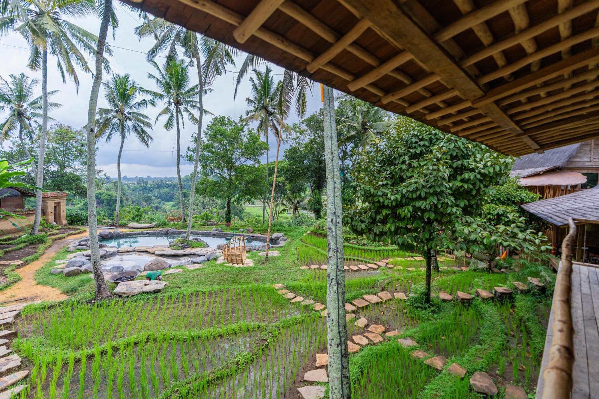 Bambu Indah Resort Убуд Екстер'єр фото