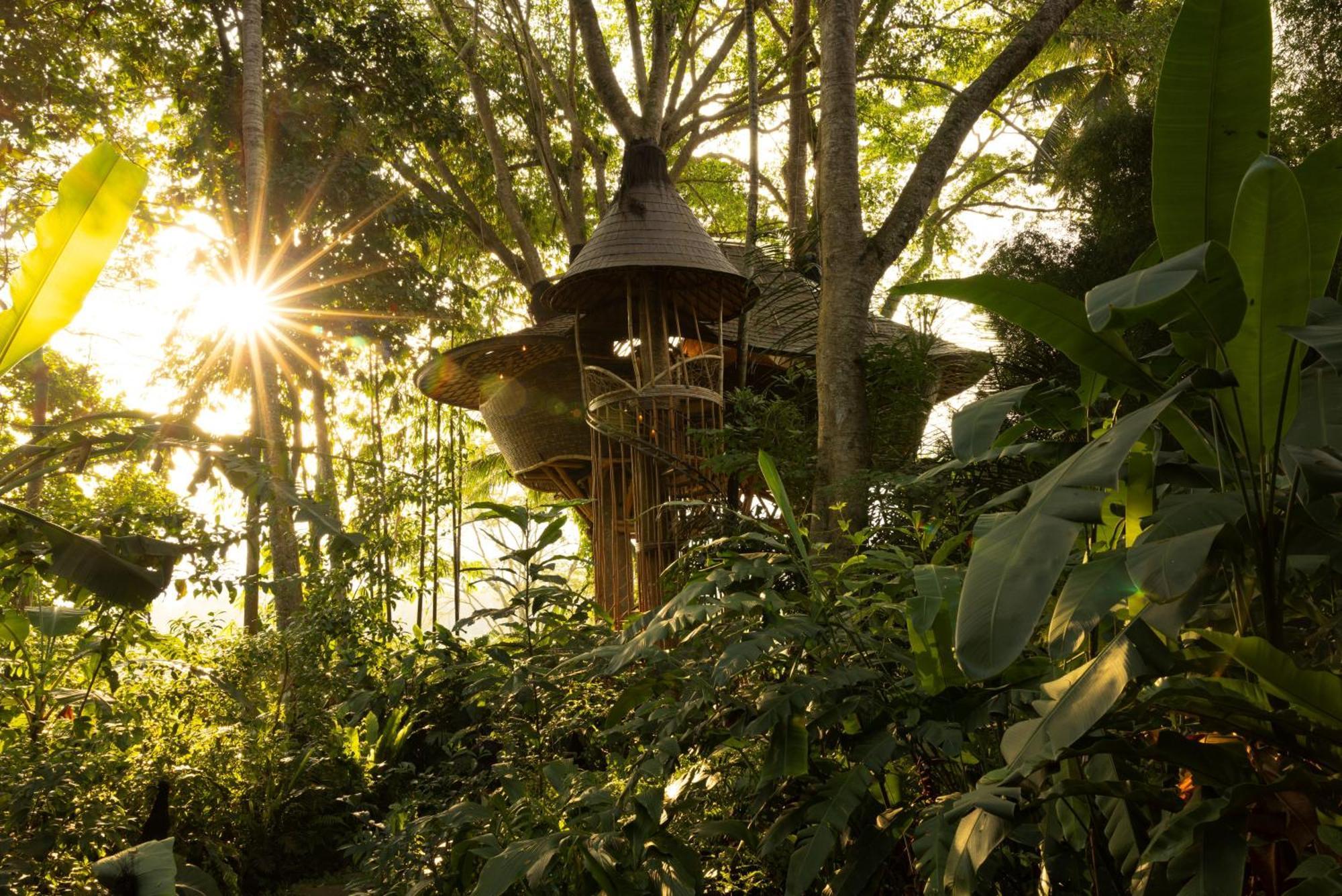 Bambu Indah Resort Убуд Екстер'єр фото