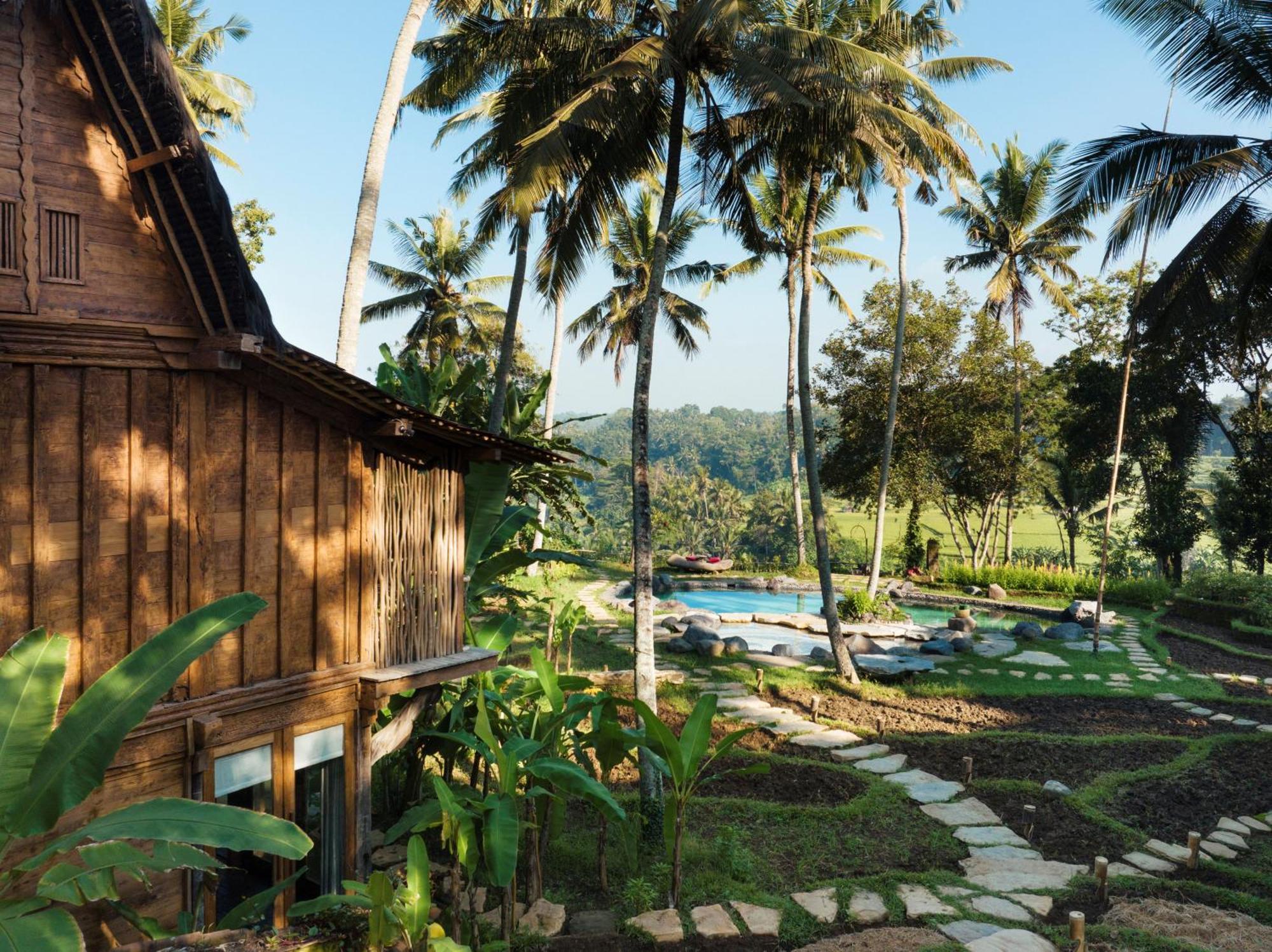Bambu Indah Resort Убуд Екстер'єр фото